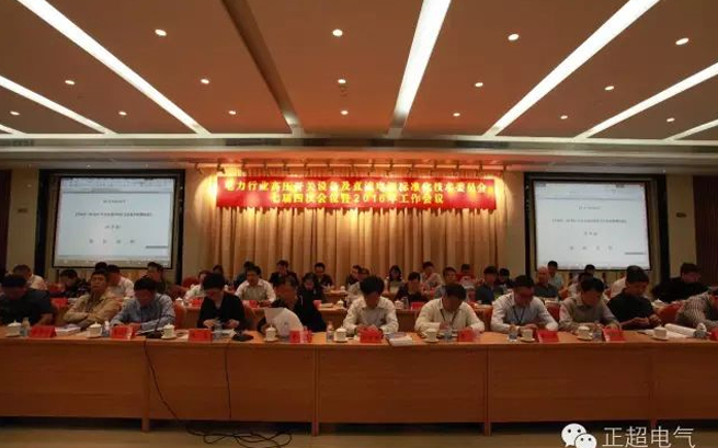 ҵѹ豸ֱԴ׼ίԱ߽Ĵμ2016鼯ͷٿ